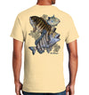 Men's Barnacle Slam Short Sleeve Vegas Gold Cotton T-Shirt