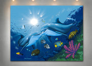 Kissing Dolphins - Dunleavyapparel