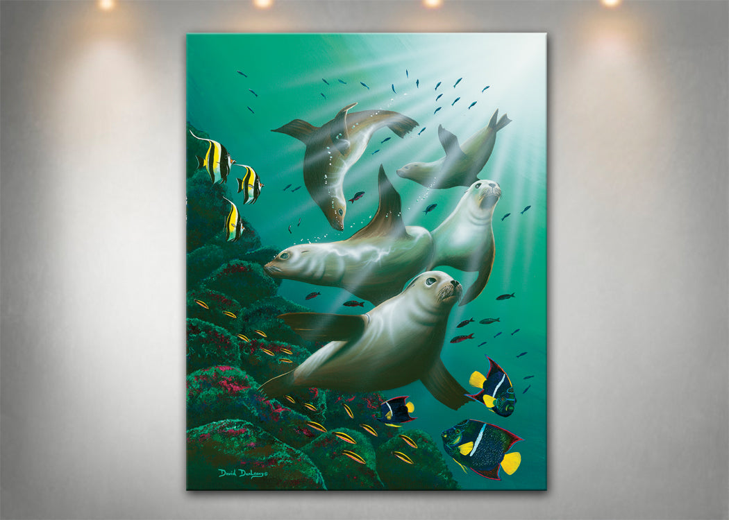 Galapagos Sea Lions - Dunleavyapparel