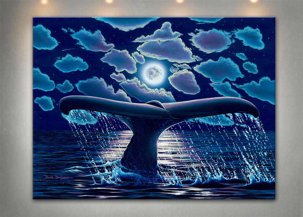 Cabo Nights - Dunleavyapparel