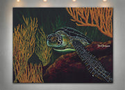 Sea Turtle Art 