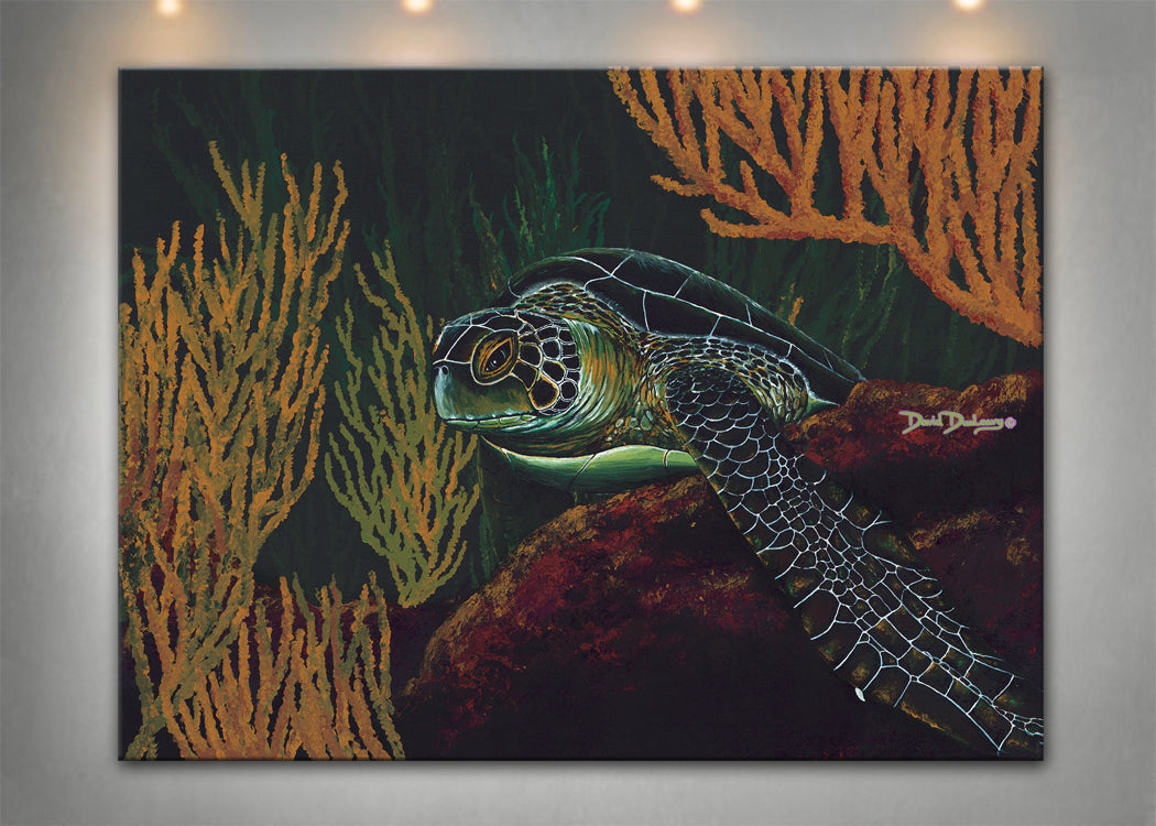 Sea Turtle Art 
