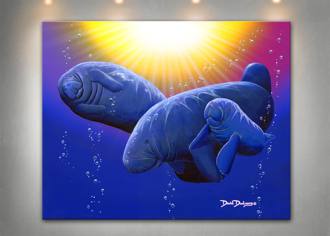 Manatees - Dunleavyapparel