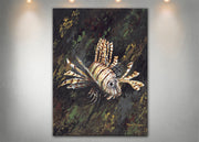 Lionfish - Dunleavyapparel