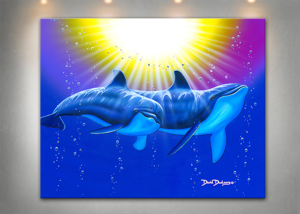 Bottlenose Dolphins - Dunleavyapparel