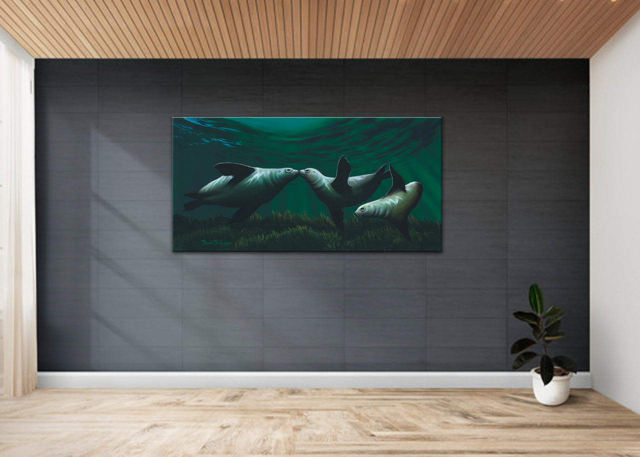 Kissing Seals - Dunleavyapparel