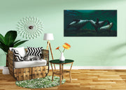 Kissing Seals - Dunleavyapparel