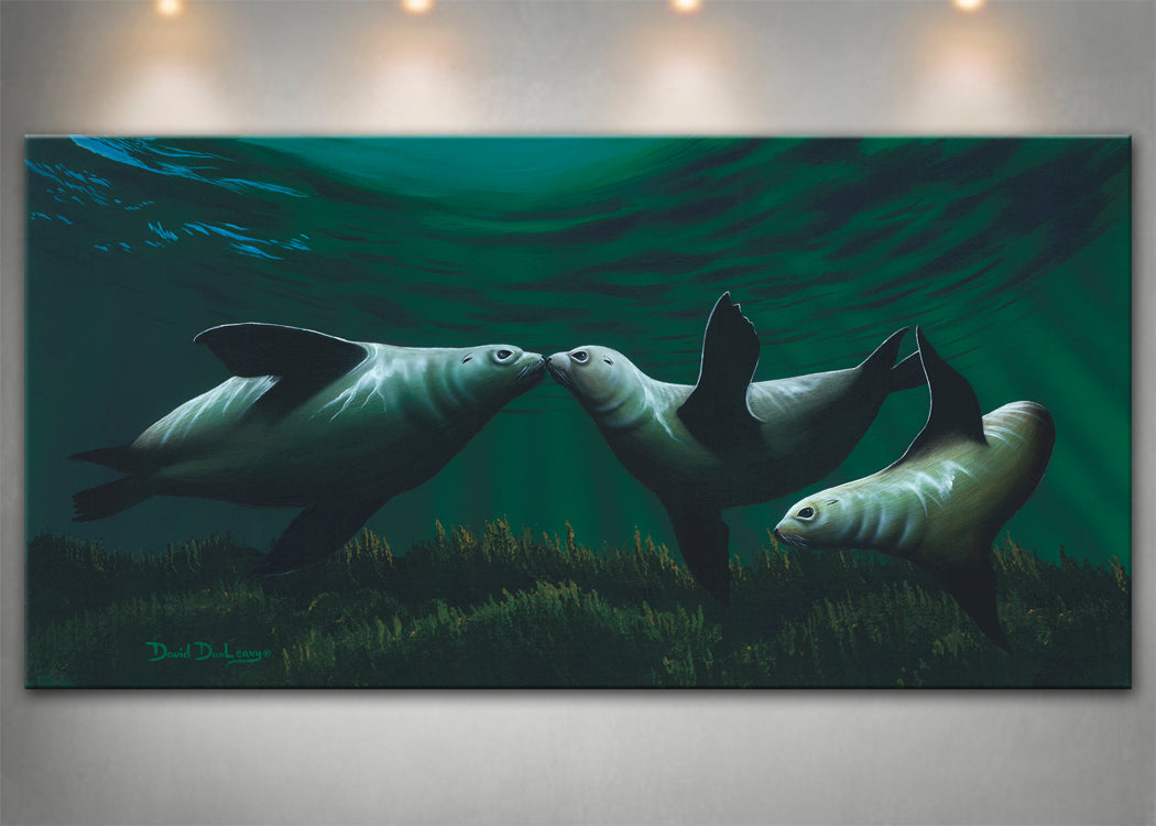 Kissing Seals - Dunleavyapparel