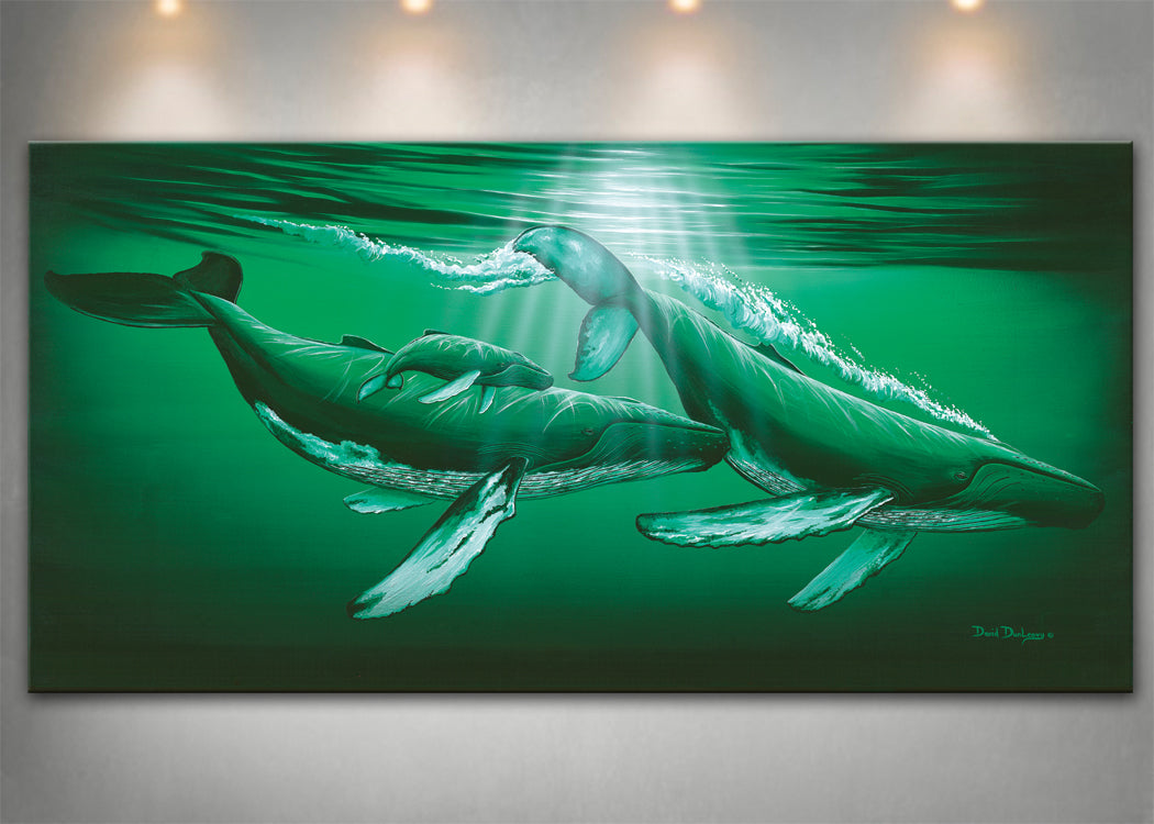 Sounding - Dunleavyapparel