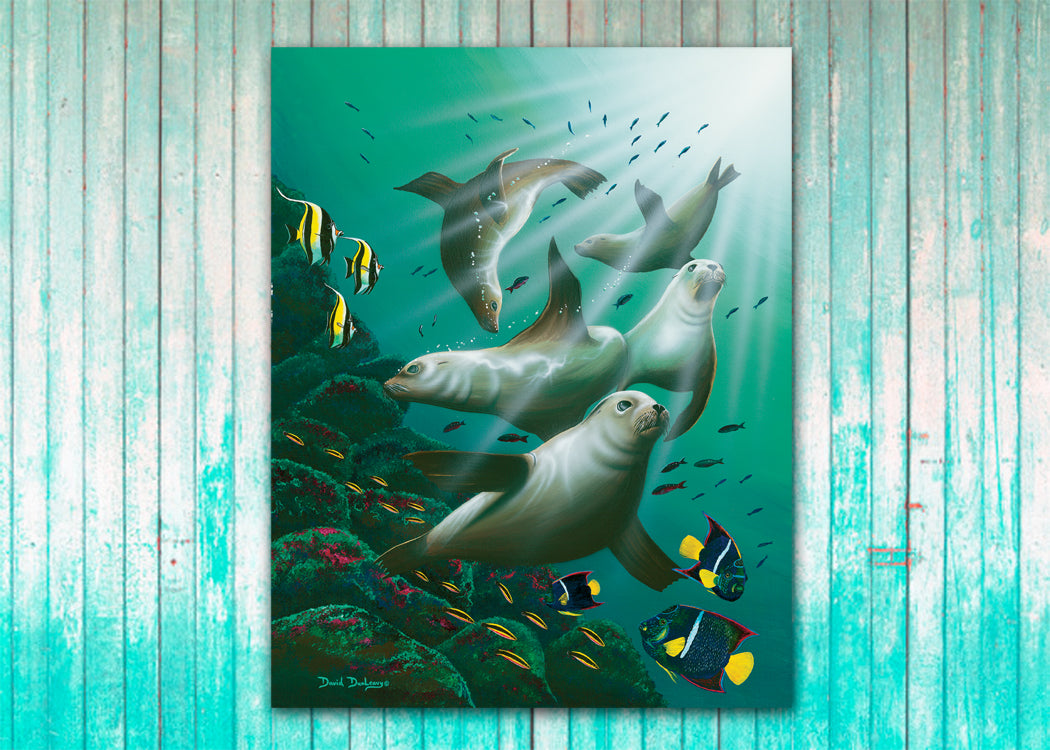 Galapagos Sea Lions - Dunleavyapparel