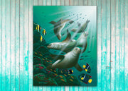 Galapagos Sea Lions - Dunleavyapparel