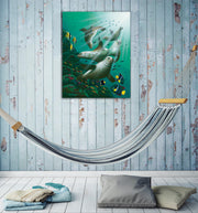 Galapagos Sea Lions - Dunleavyapparel