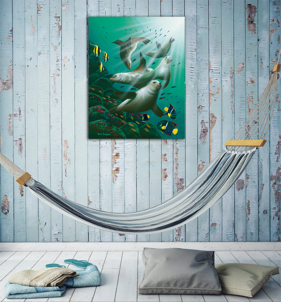 Galapagos Sea Lions - Dunleavyapparel