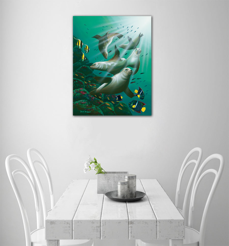 Galapagos Sea Lions - Dunleavyapparel