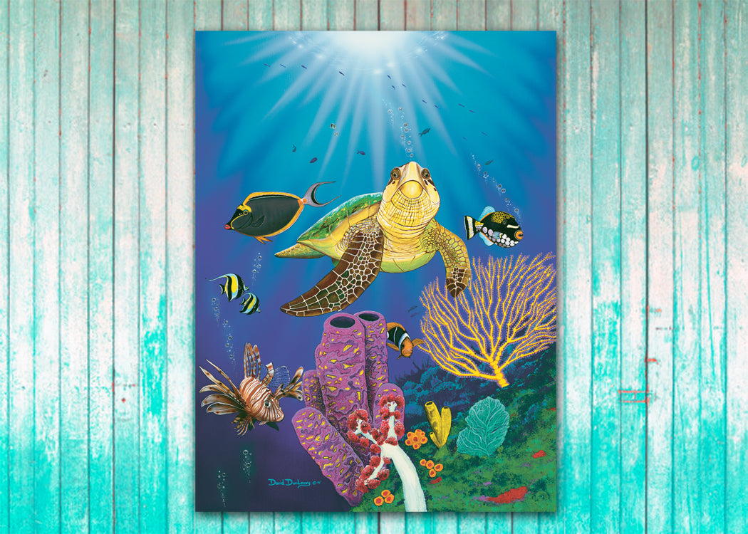 Turtle Reef 2 - Dunleavyapparel