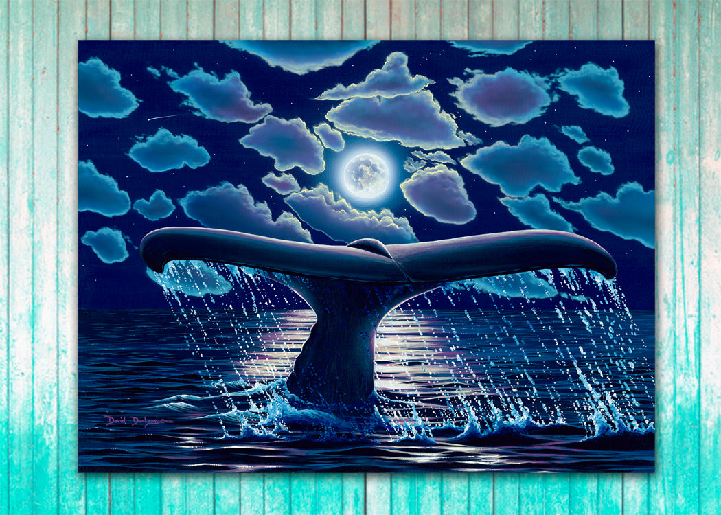 Cabo Nights - Dunleavyapparel