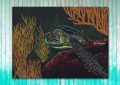 Black Sea Turtle - Dunleavyapparel