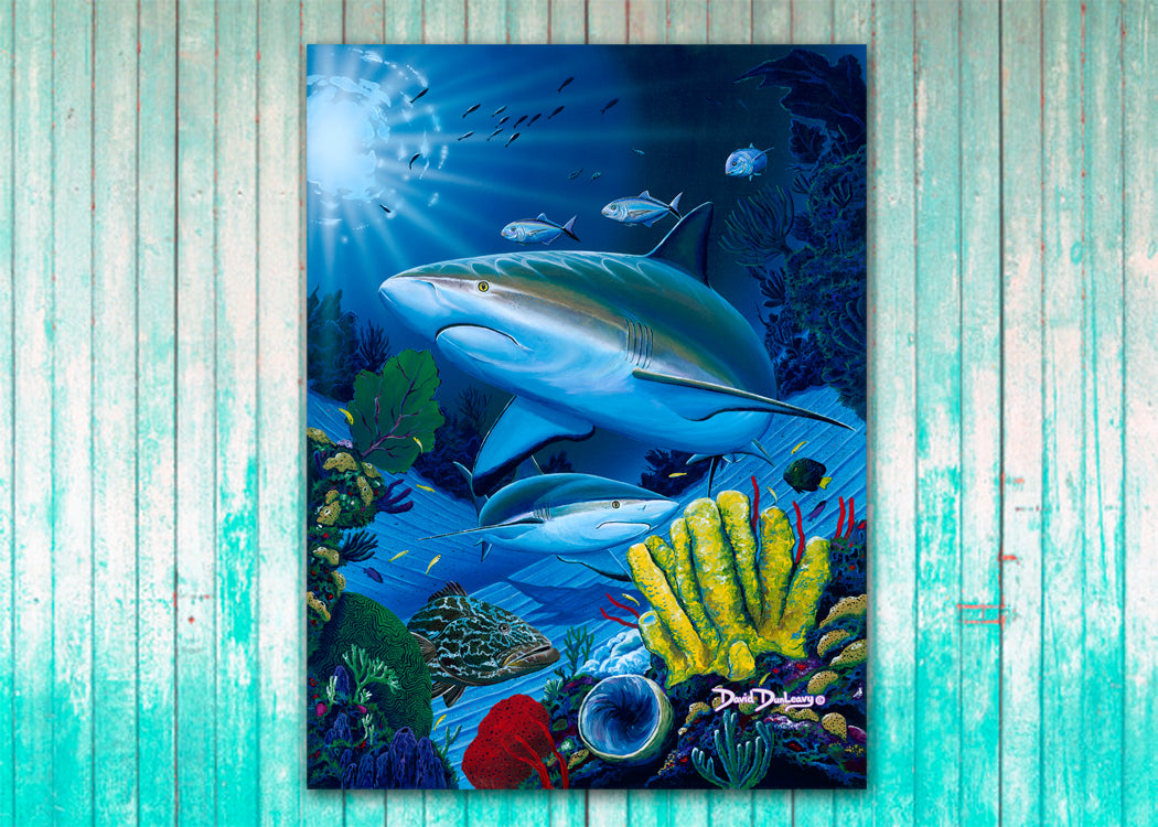 Shark Fest - Dunleavyapparel