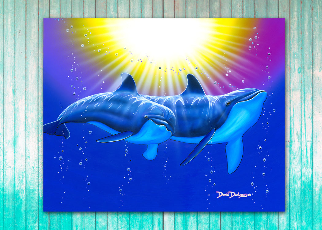 Bottlenose Dolphins - Dunleavyapparel