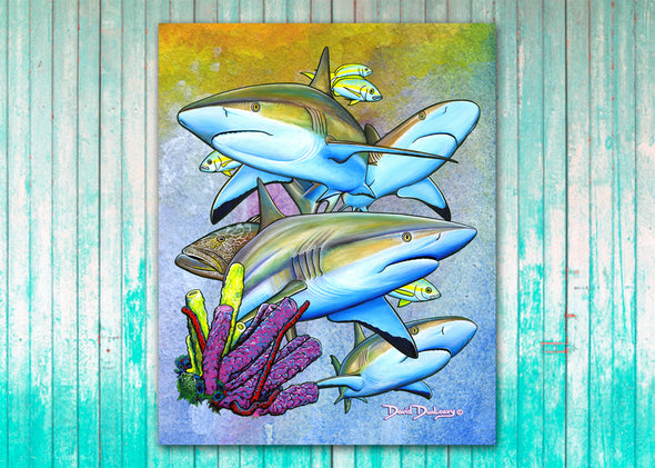 Caribbean Reef Sharks - Dunleavyapparel