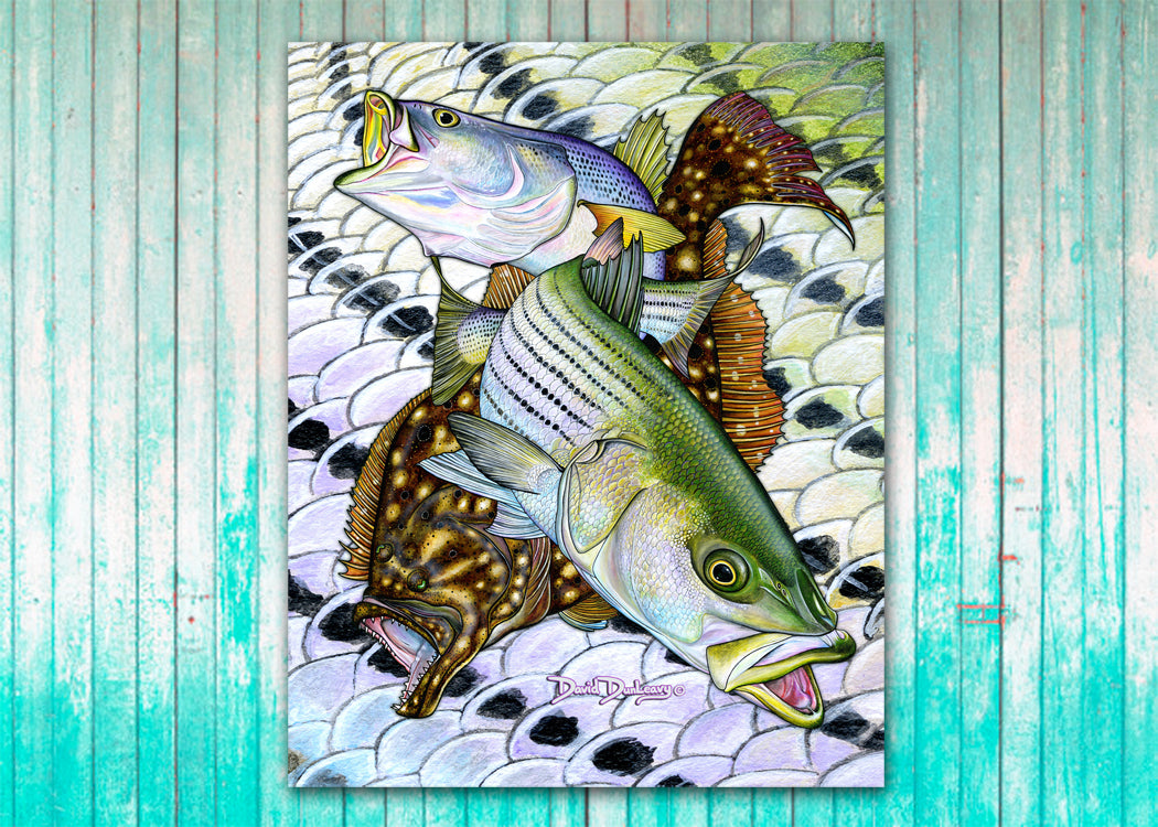 Inshore Slam - Dunleavyapparel