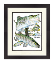 Striped Bass Slam Original - Dunleavyapparel