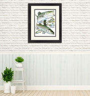 Striped Bass Slam Original - Dunleavyapparel