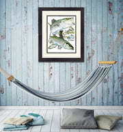 Striped Bass Slam Original - Dunleavyapparel