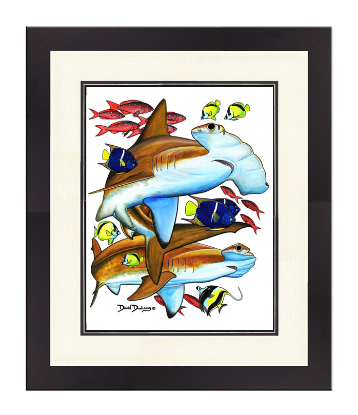Galapagos Hammerhead Sharks Original - Dunleavyapparel